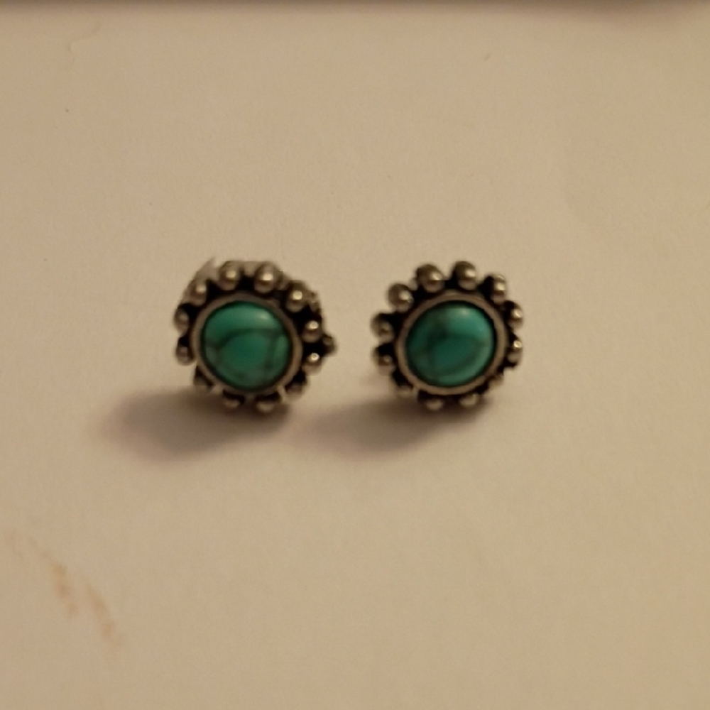 Charming Silver and Turquoise Kids Stud Earrings